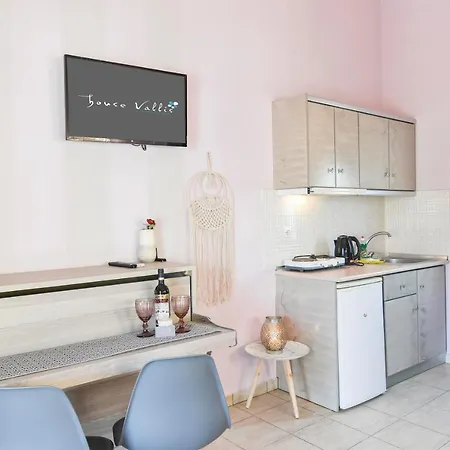 House Vallis * Sarti