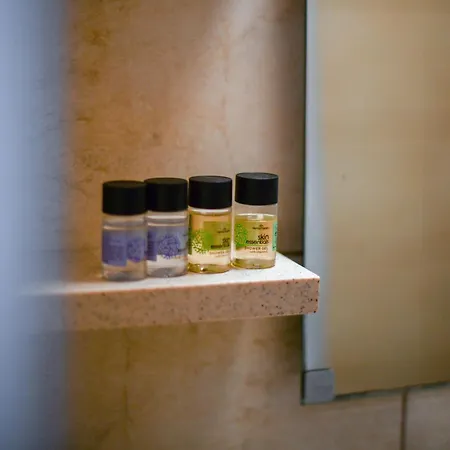 House Vallis アパート サルティ